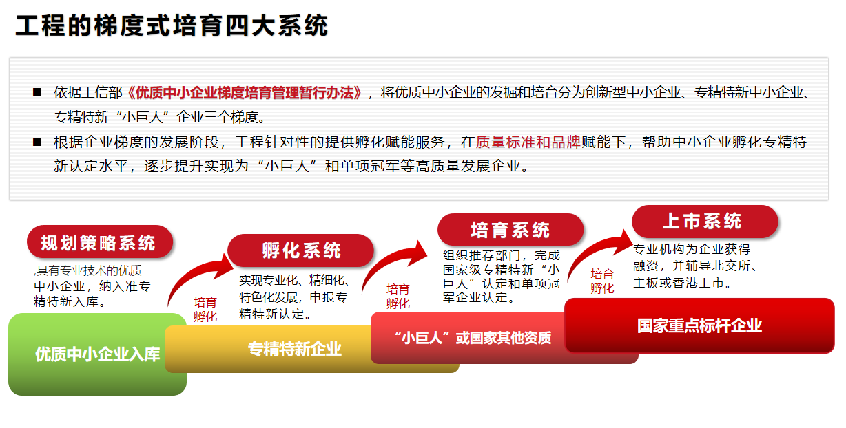 優(yōu)質(zhì)企業(yè)準(zhǔn)專精特新入庫(kù)工程